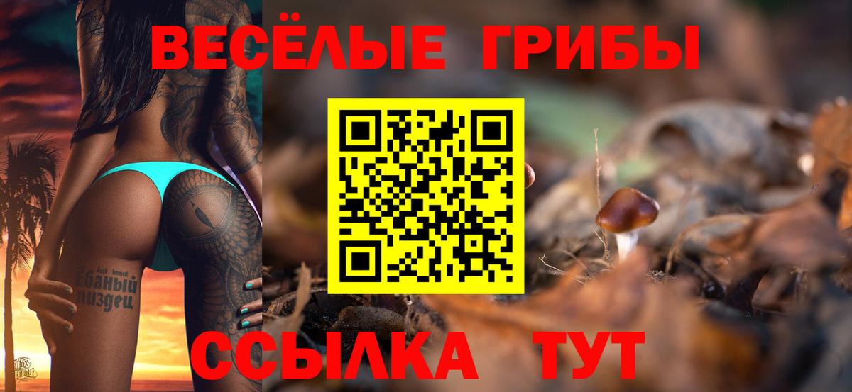 Псилоцибиновые грибы GOLDEN TEACHER  Вход с VPN  Дальнегорск 